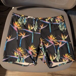 Feathers Hawaii Black and Multicolor Shorts